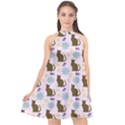Outside Brown Cats Halter Neckline Chiffon Dress  View1