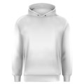 Hoodie/Sweatshirt image